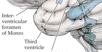 スクリーンショット 2014-08-28 17.05.24