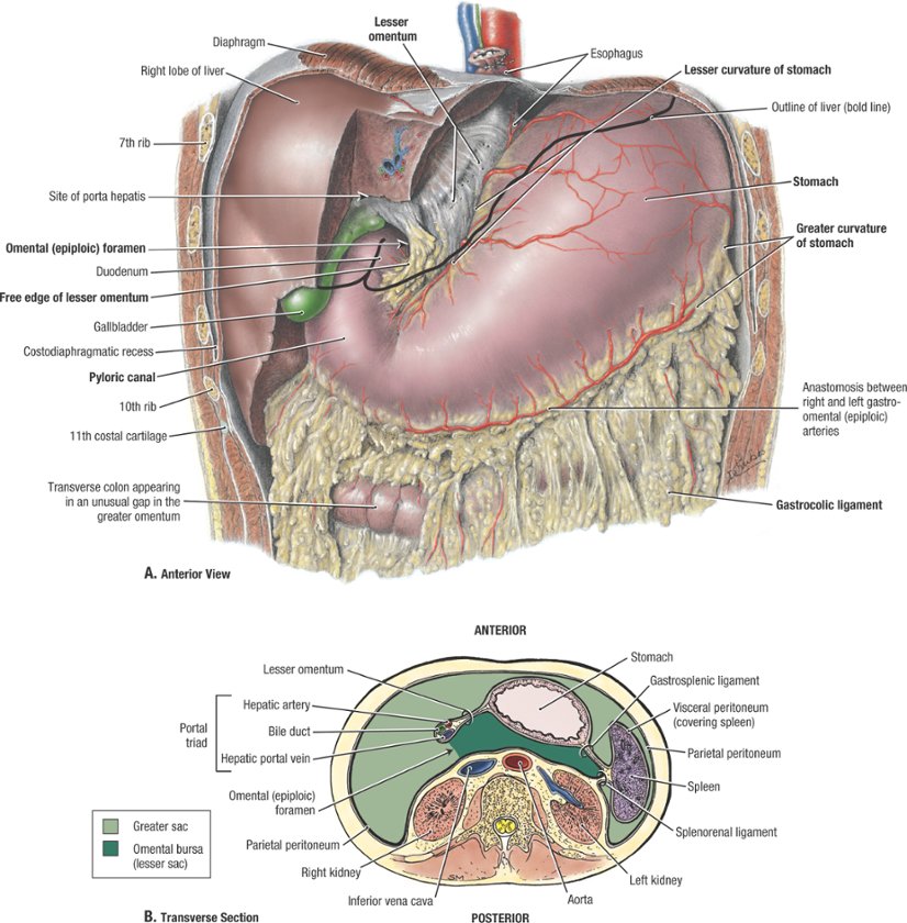 7290b8d2a8294b0a97e2cf7e4edc6a33