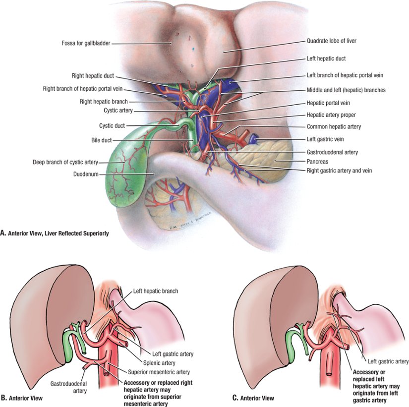 8a8fc33f97f5498dafa4023782c3231b