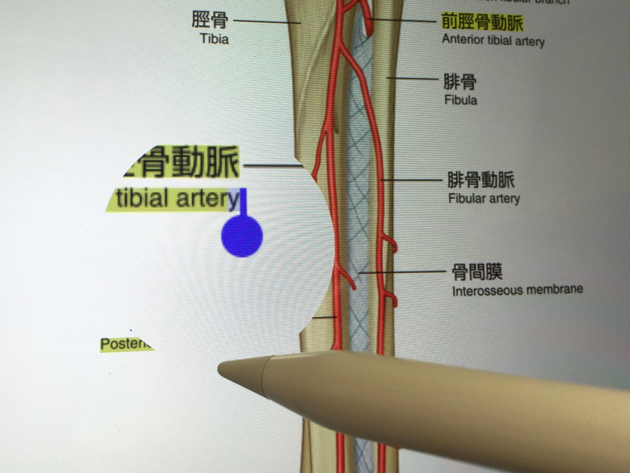 マーカーを引く