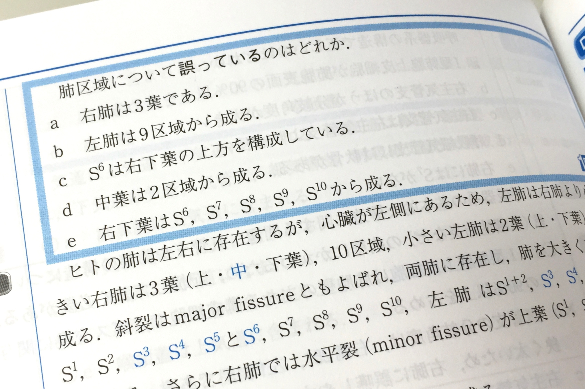 第2巻、肺区域の問題。