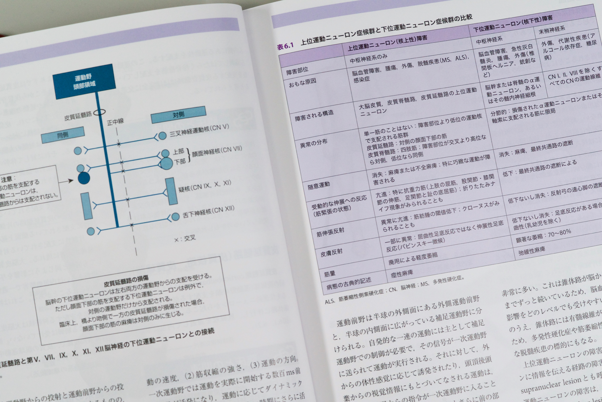 ヤマト工芸 臨床のための神経機能解剖学 裁断済み - 通販 - www.nautla