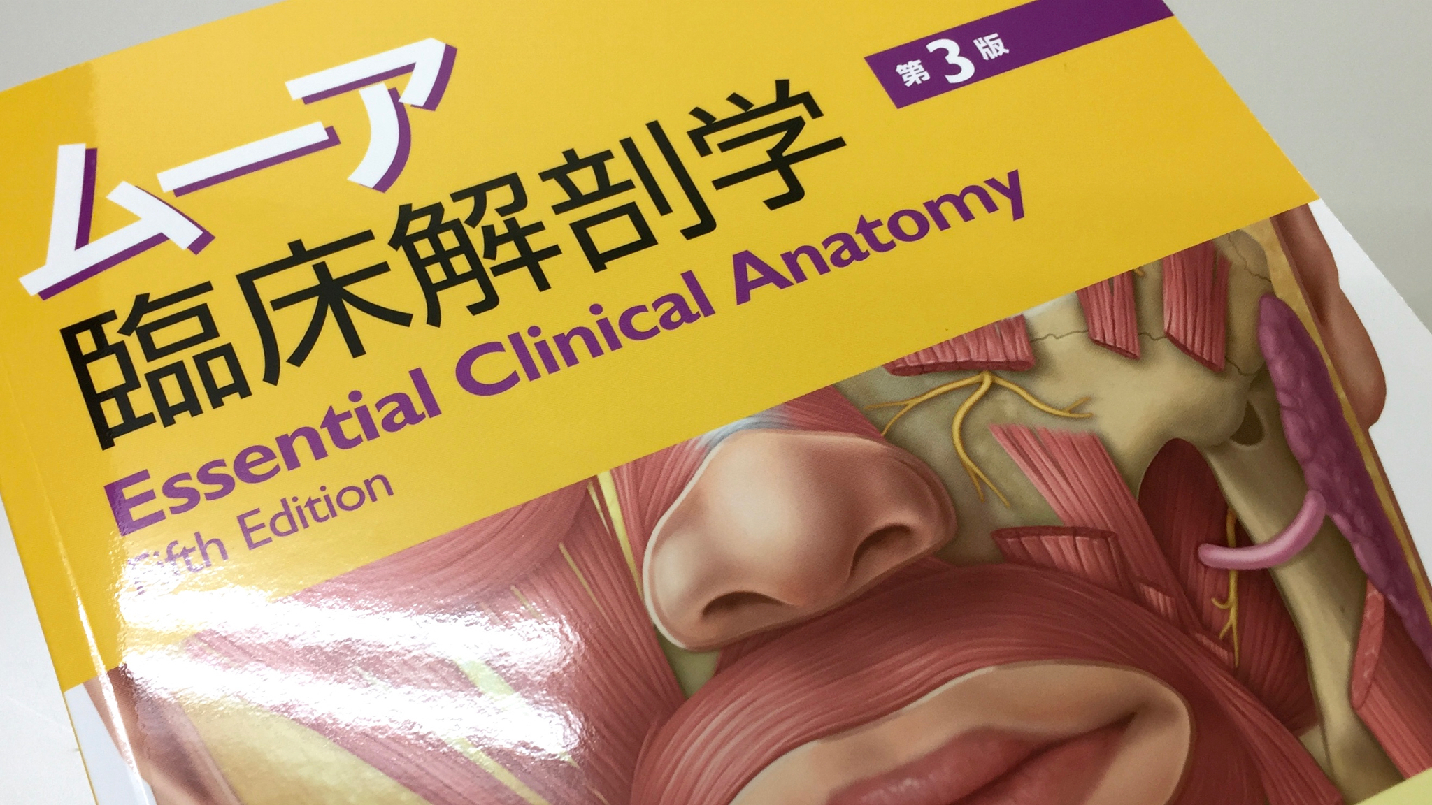 ムーア臨床解剖学 第3版 Anatomy