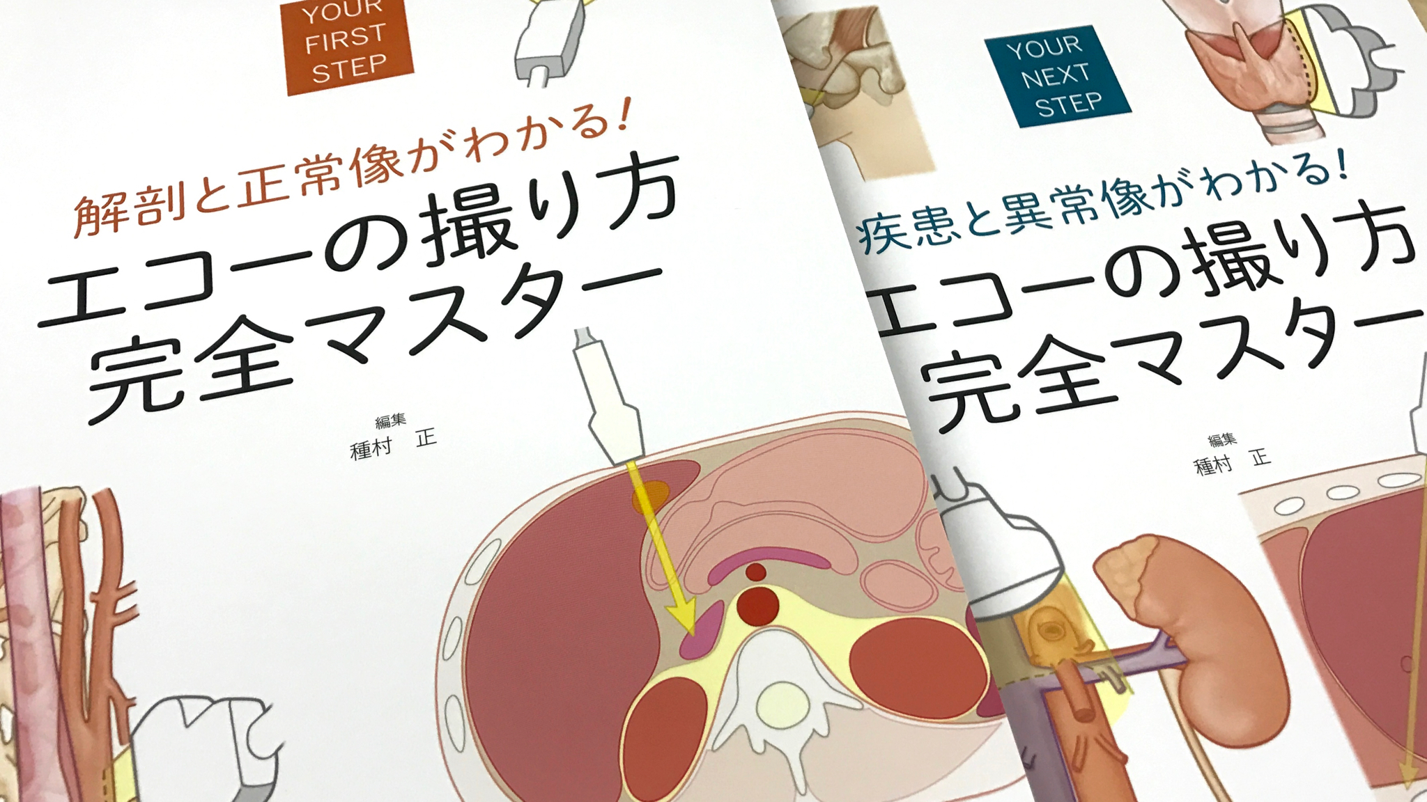 エコーの撮り方完全マスター Anatomy