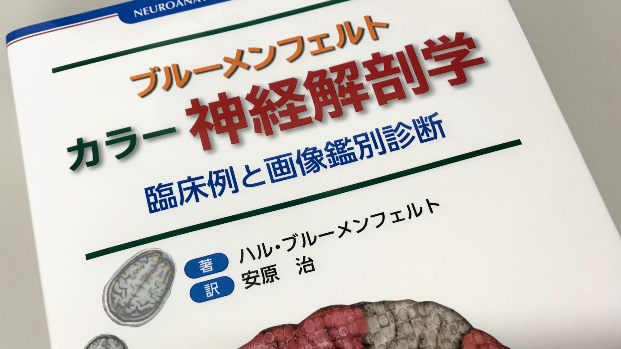 ブルーメンフェルト カラー神経解剖学 臨床例と画像鑑別診断 Anatomy