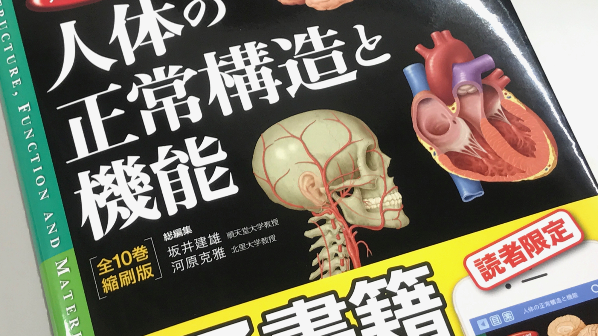 カラー図解 人体の正常構造と機能(全10巻縮刷版・全1冊) 第3版 - blog.knak.jp