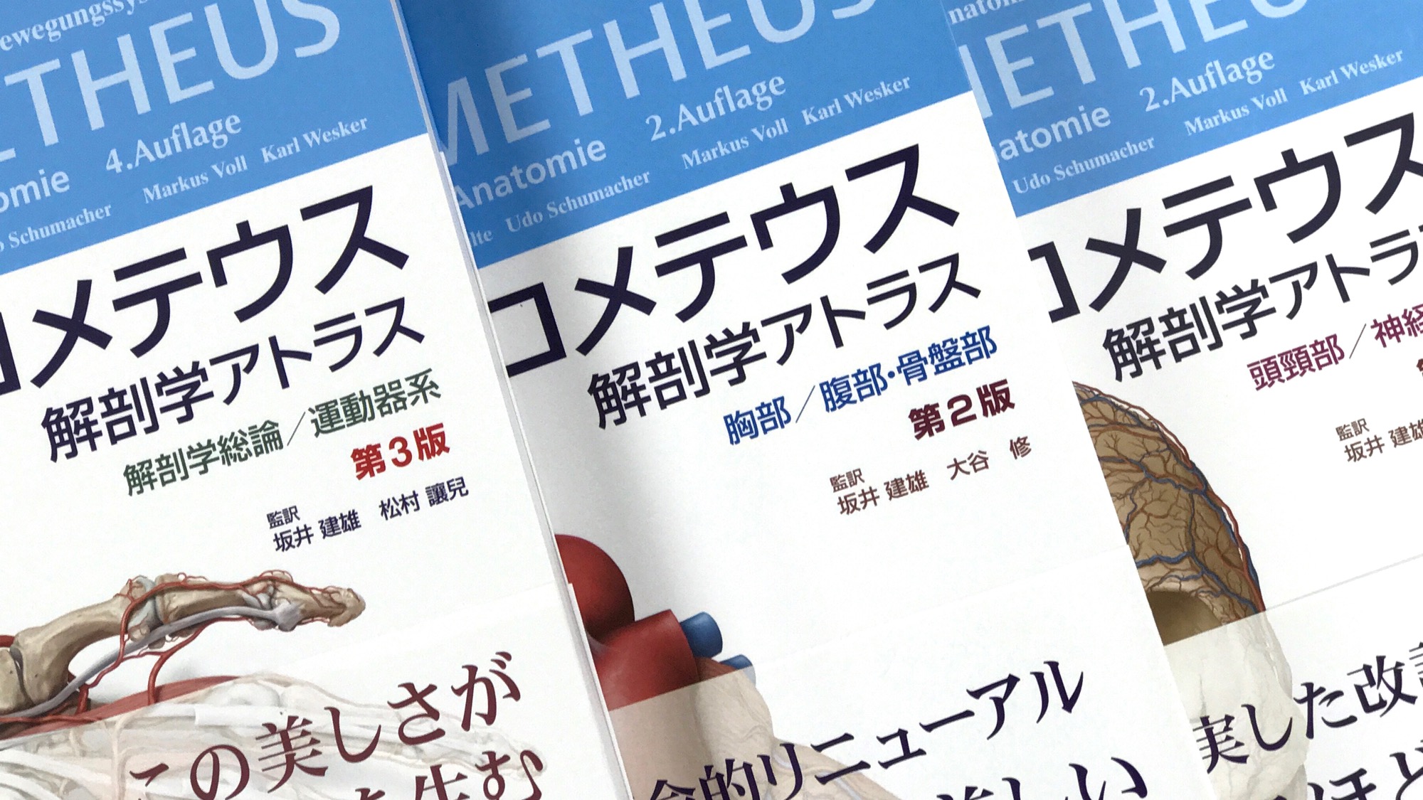 プロメテウス解剖学アトラス 解剖学総論/運動器系 第3版 健康・医学