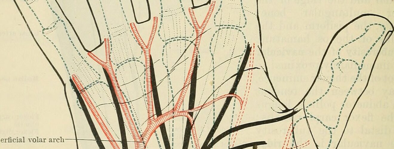 Image from page 1485 of "Cunningham's Text-book of anatomy" (1914)