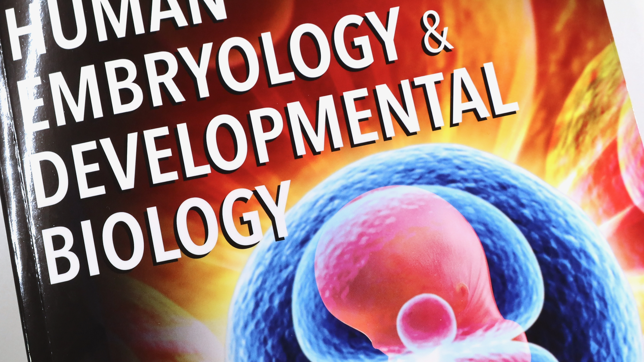 Human Embryology And Developmental Biology, 6E / Anatomy 今日も明日も/Human ...