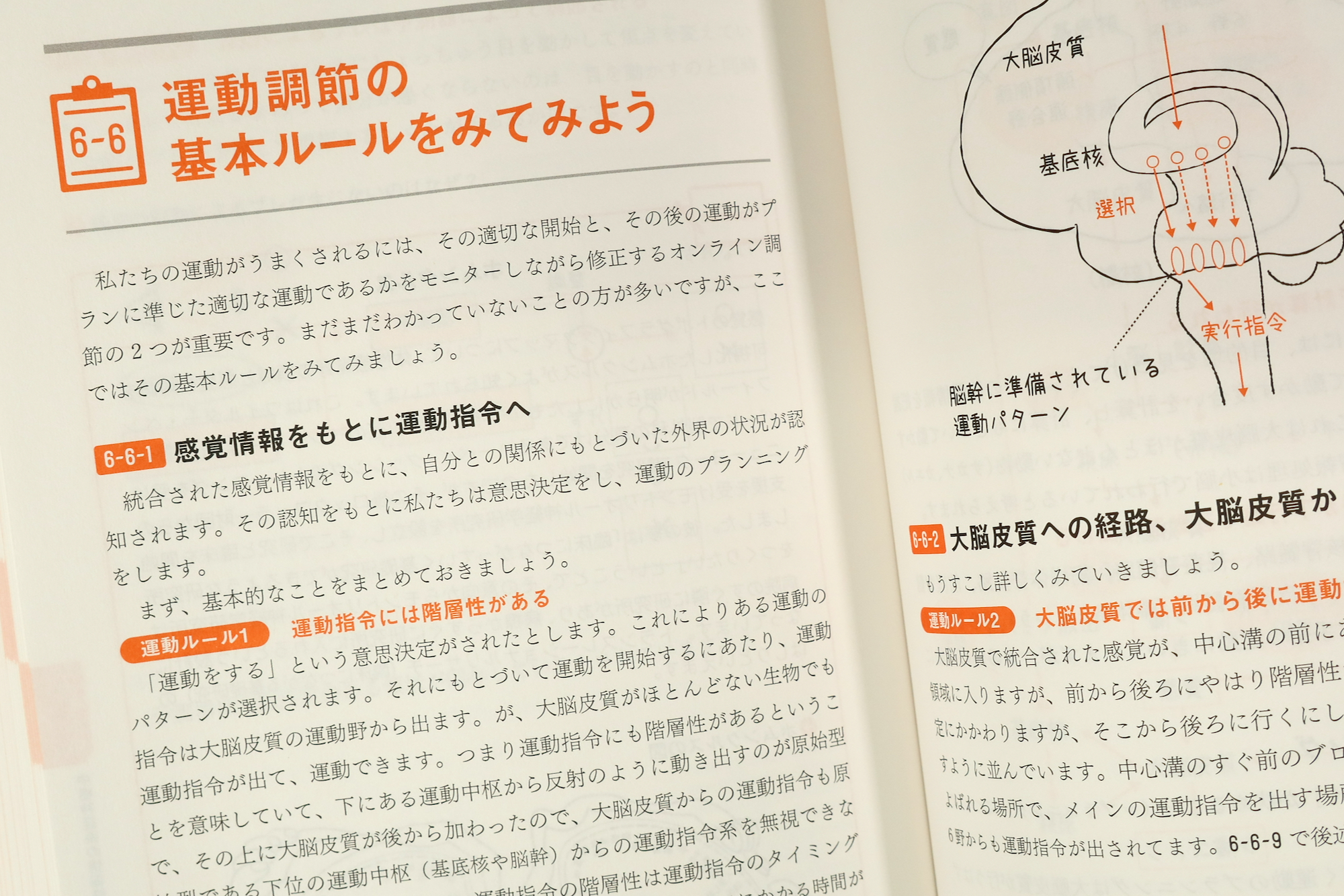脳神経科学がわかる、好きになる / Anatomy 今日も明日も