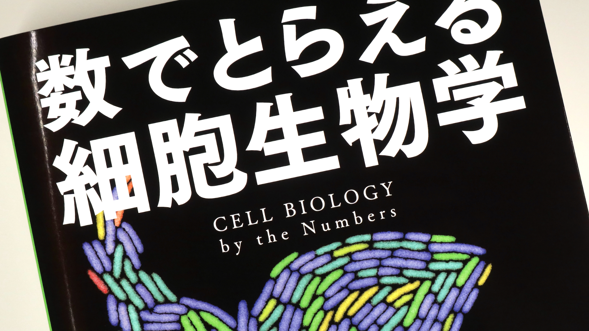 数でとらえる細胞生物学 数でとらえる細胞生物学 / Anatomy 今日も明日も/数でとらえる細胞生物学
