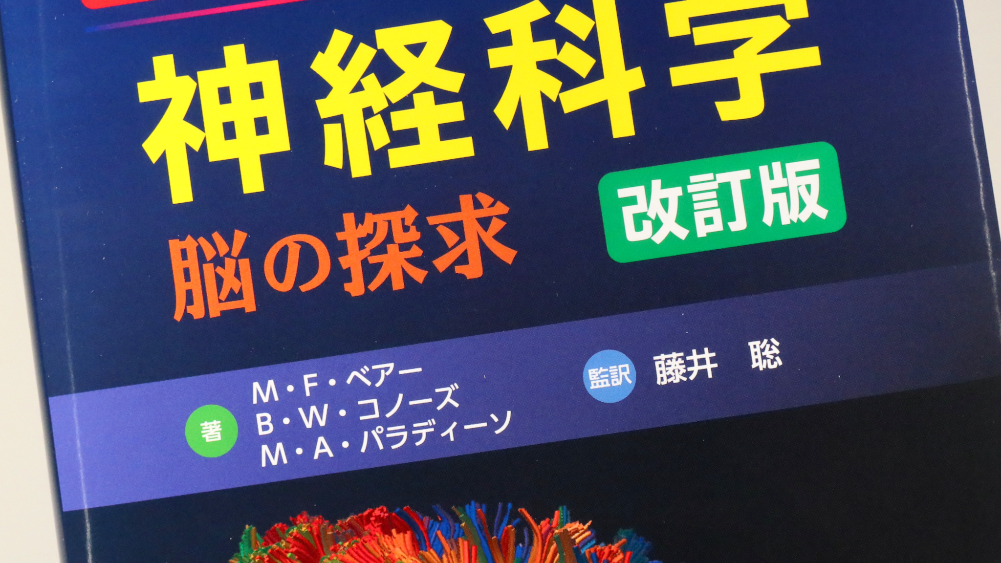 ベアー コノーズ パラディーソ 神経科学 脳の探求 改訂版 / Anatomy