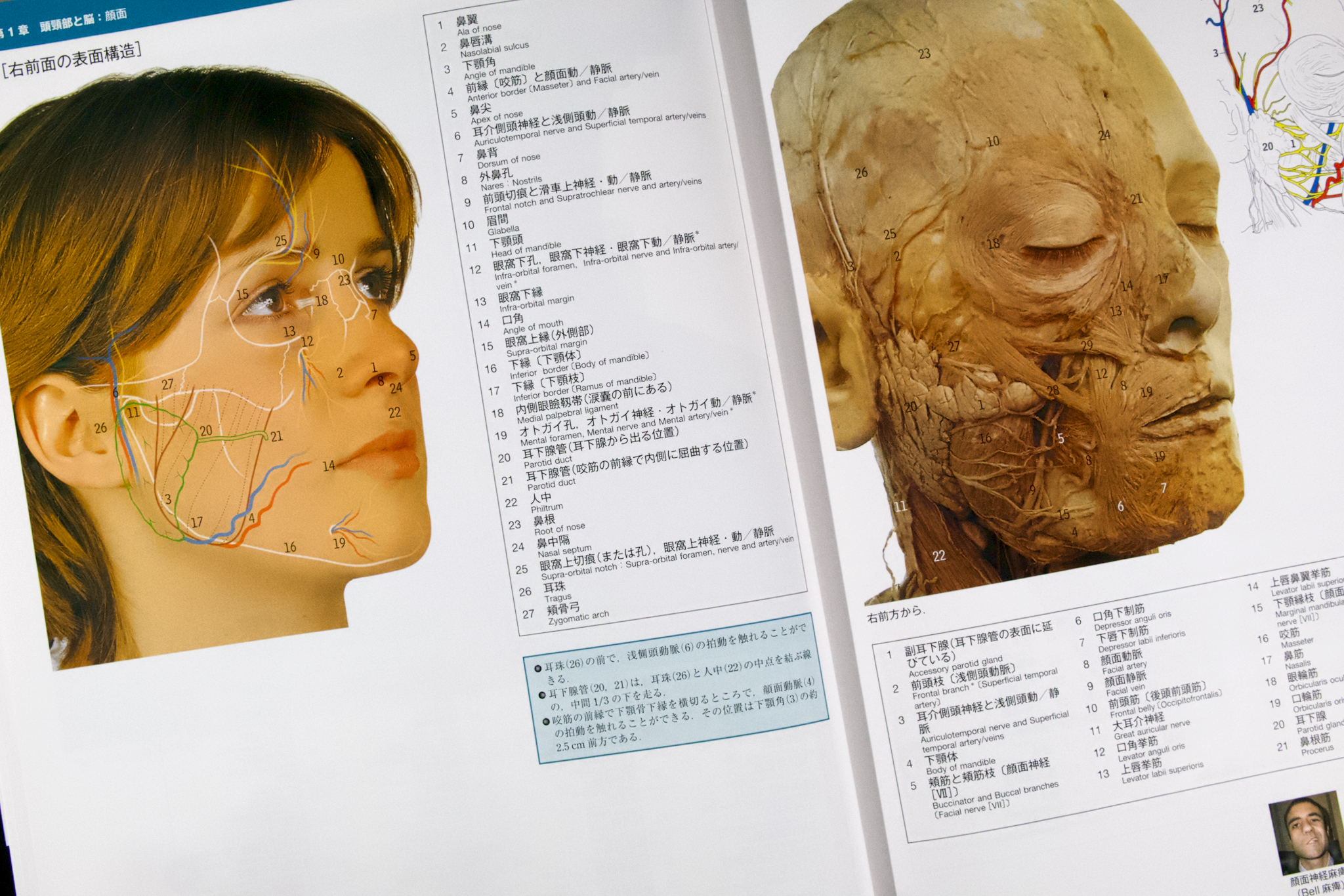 人体解剖カラーアトラス 原書第8版 – Anatomy