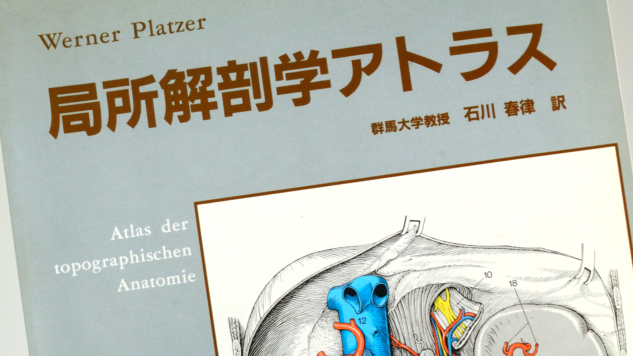 ペルンコップ臨床局所解剖学アトラス 第1巻 (頭部・頸部) - 本