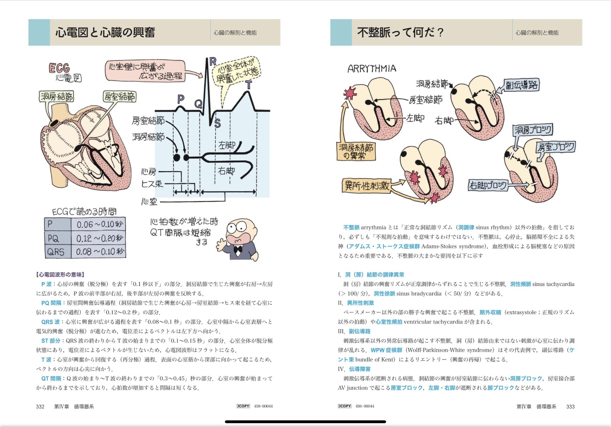 イラスト解剖学 第10版 Anatomy