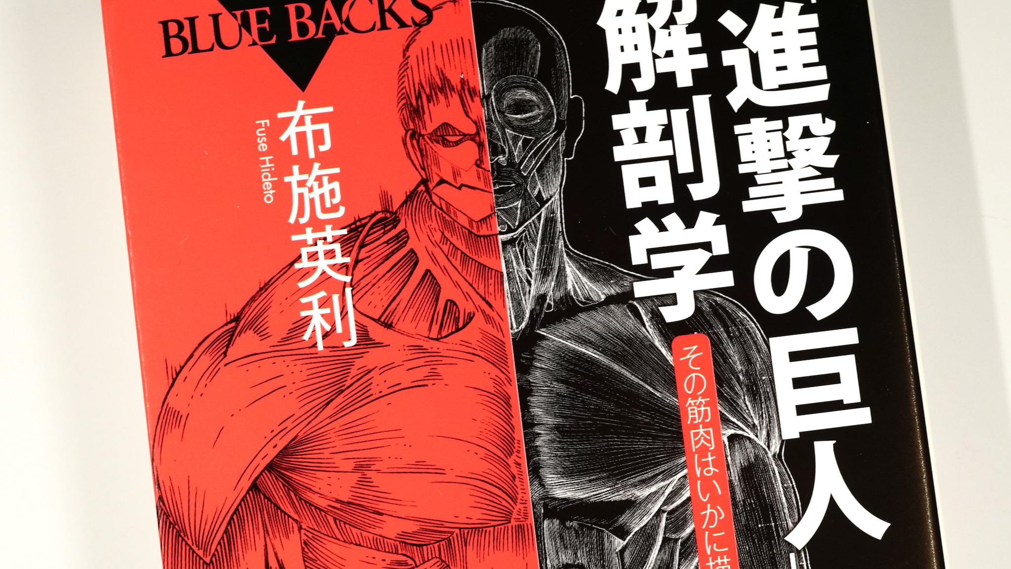 ｢進撃の巨人｣と解剖学 – その筋肉はいかに描かれたか