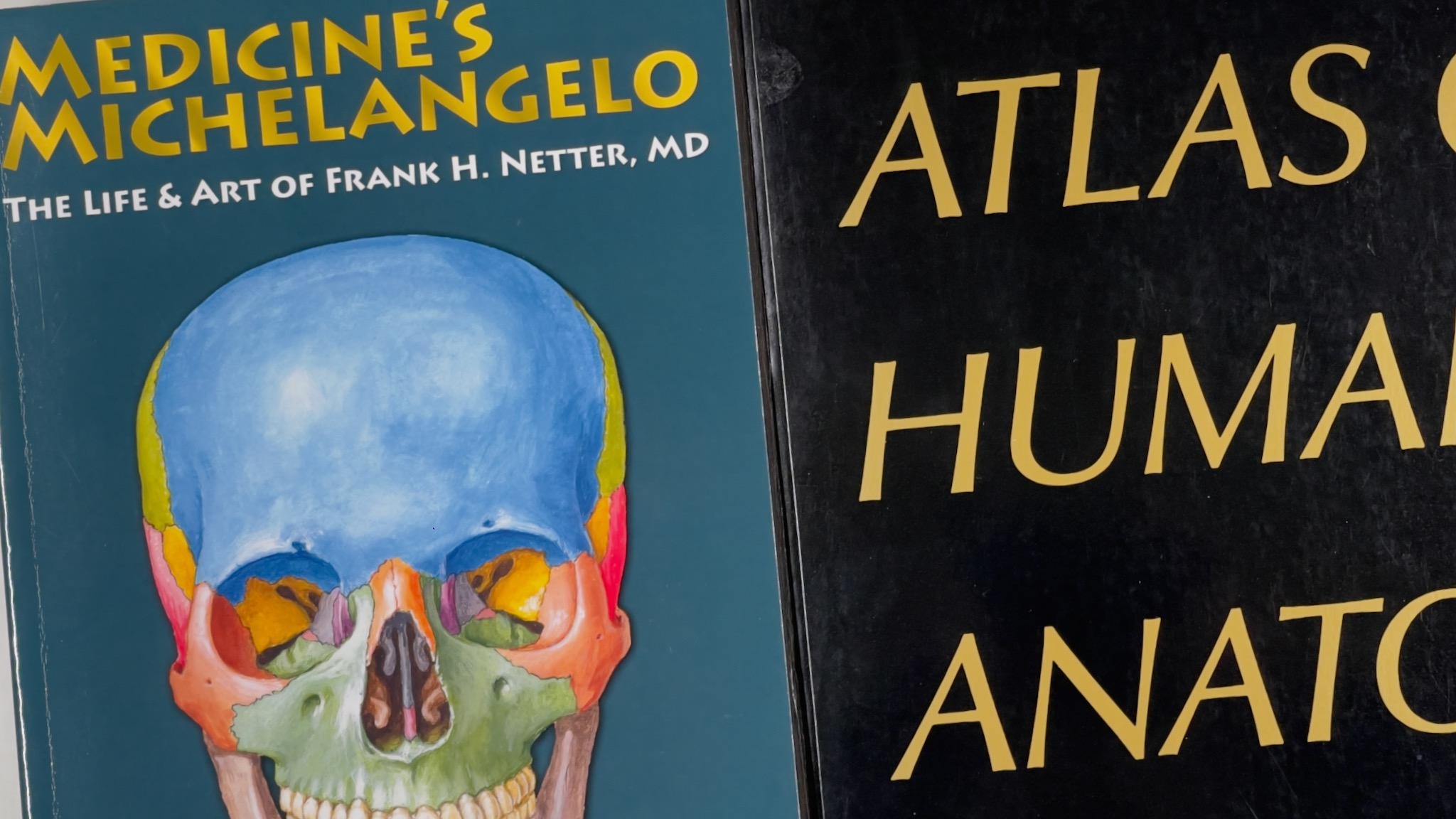 Medicine's Michelangelo: The Life & Art of Frank H. Netter, MD