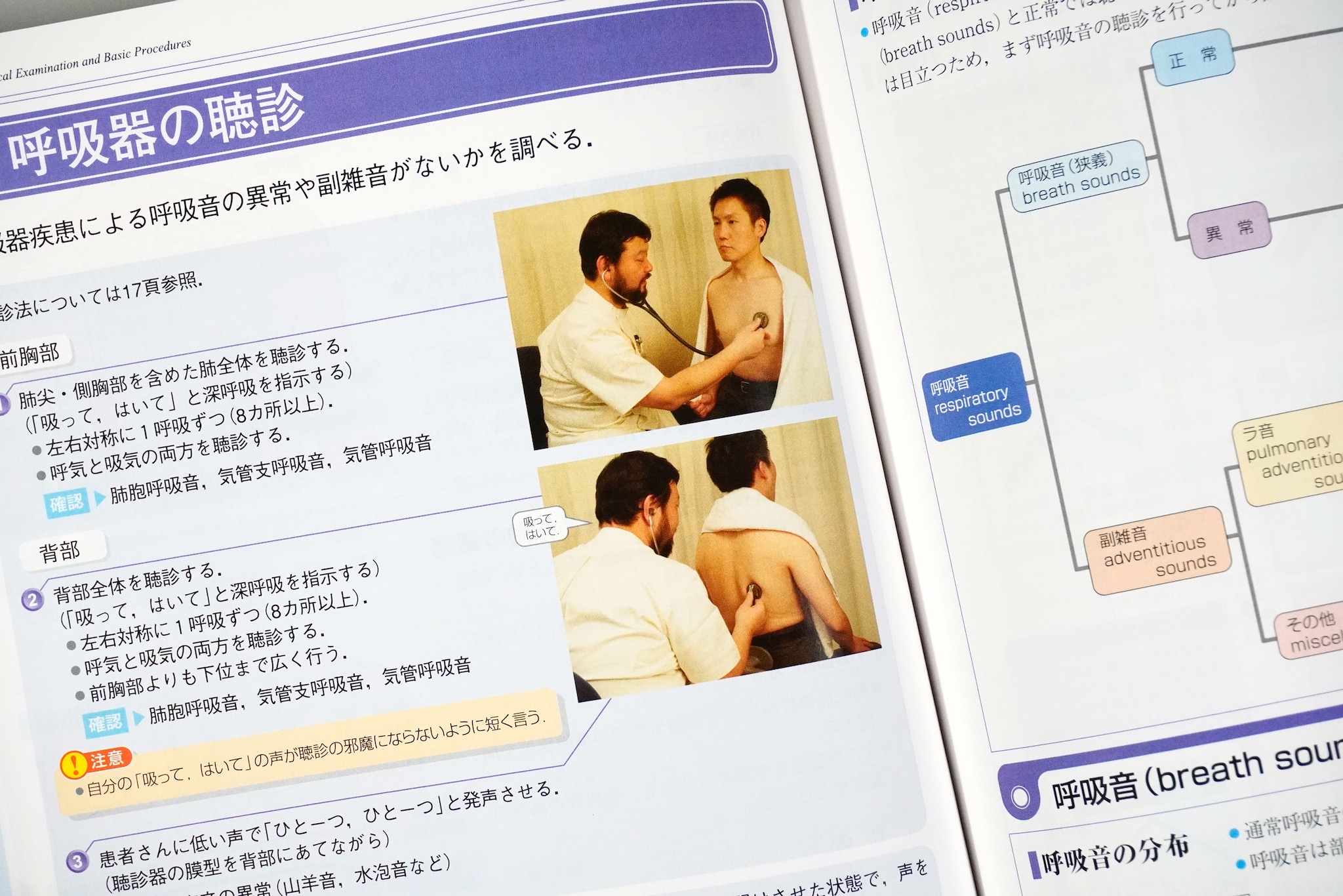 診察と手技がみえる vol. 1, 2 / Anatomy 今日も明日も