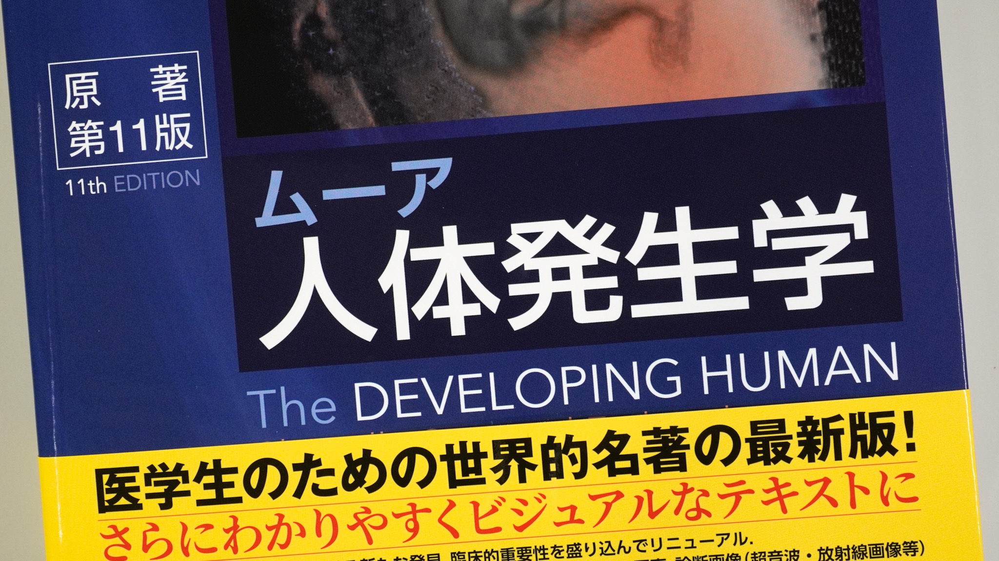 ムーア人体発生学 原著第11版