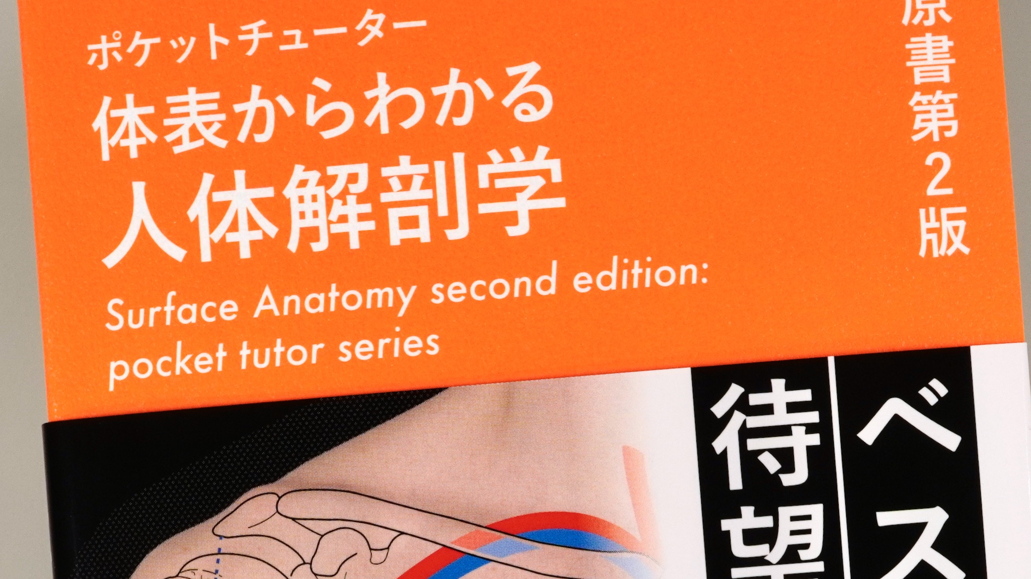 ポケットチューター体表からわかる人体解剖学 原書第2版