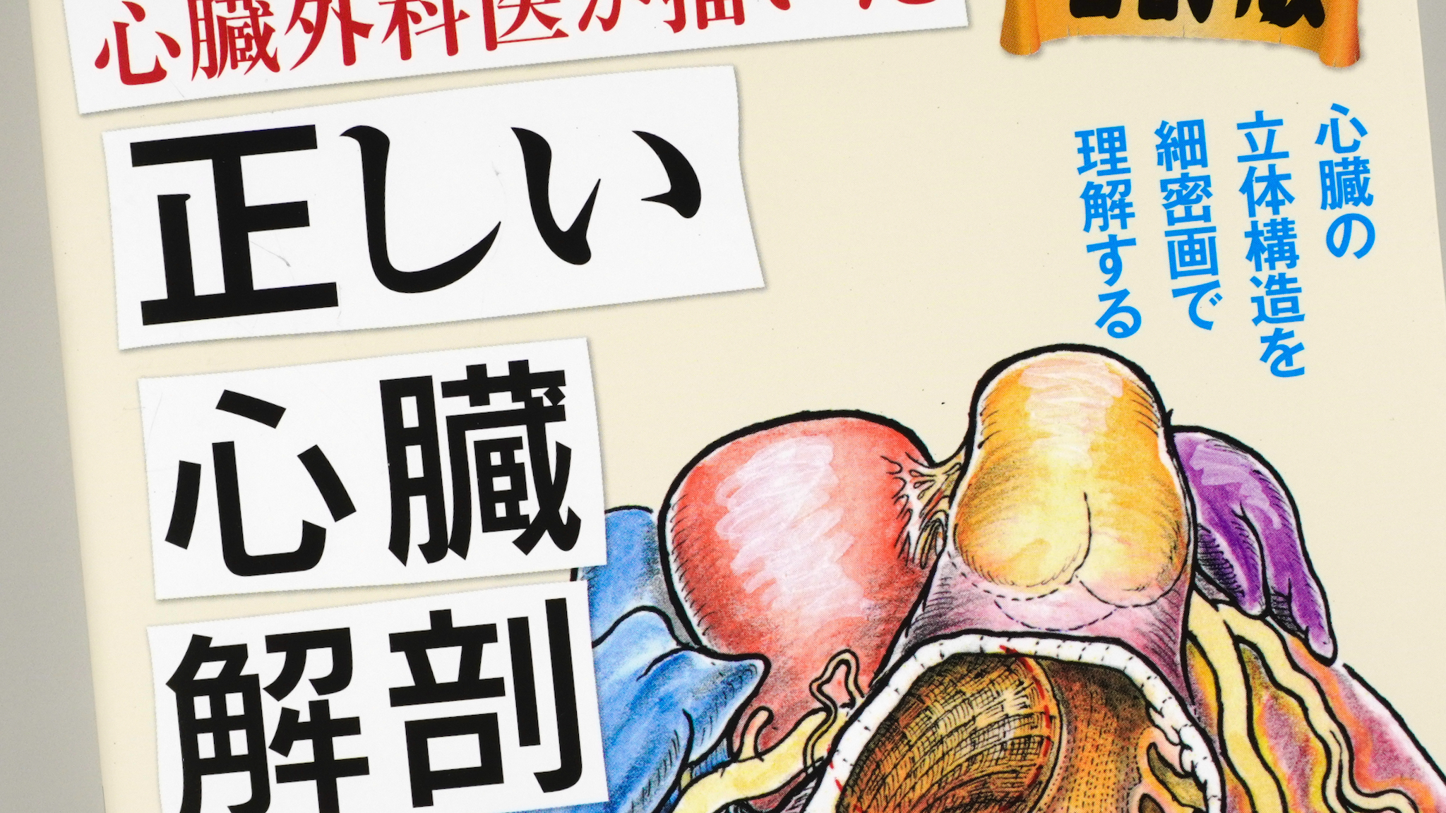 心臓外科医が描いた正しい心臓解剖図 増訂版