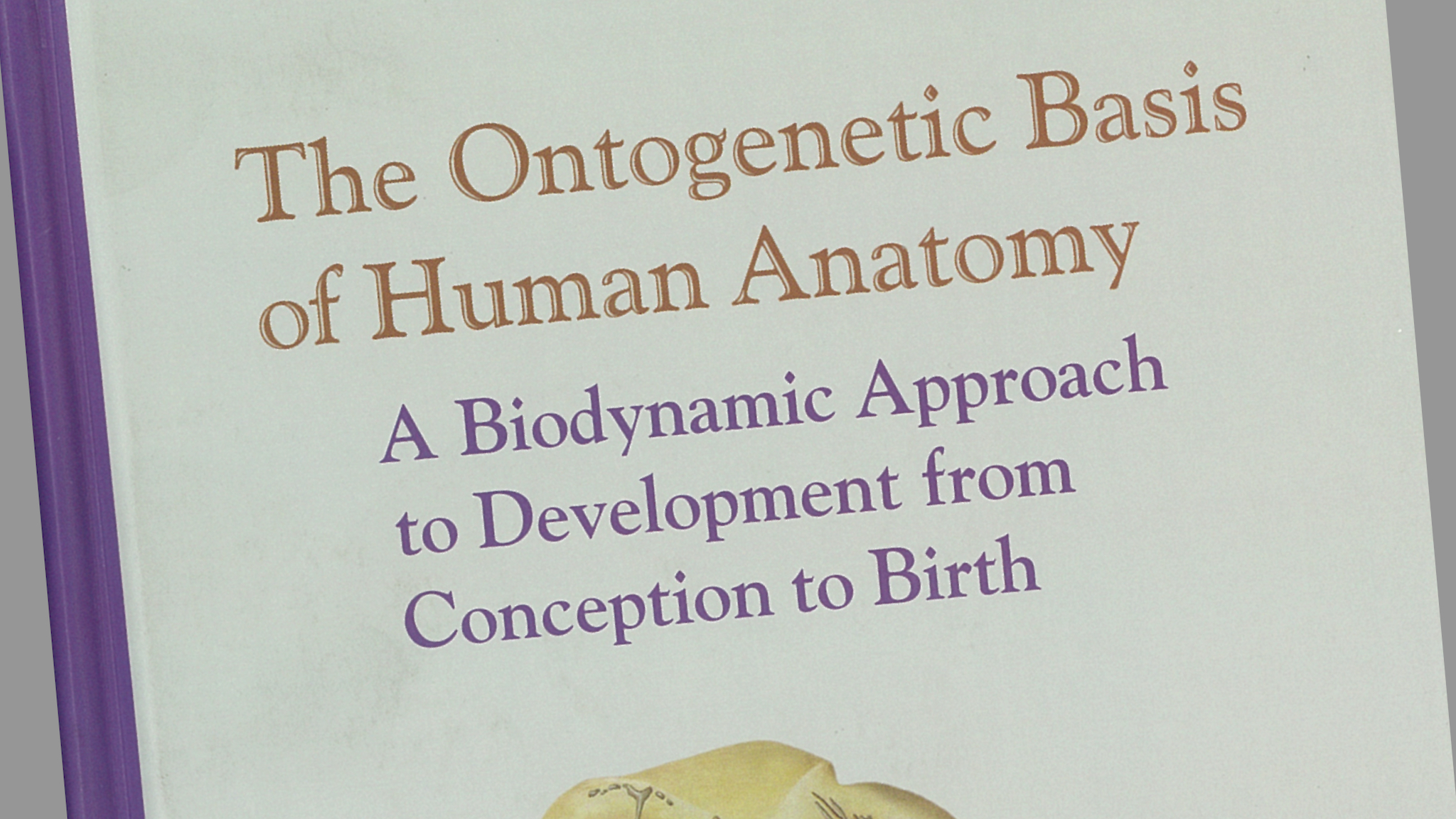 4a188f7fb6b322fe640658b472d0a6