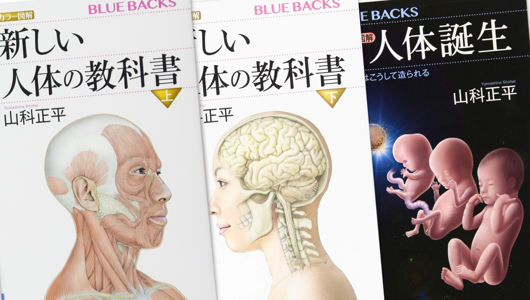 新しい人体の教科書 上・下 ／ 人体誕生