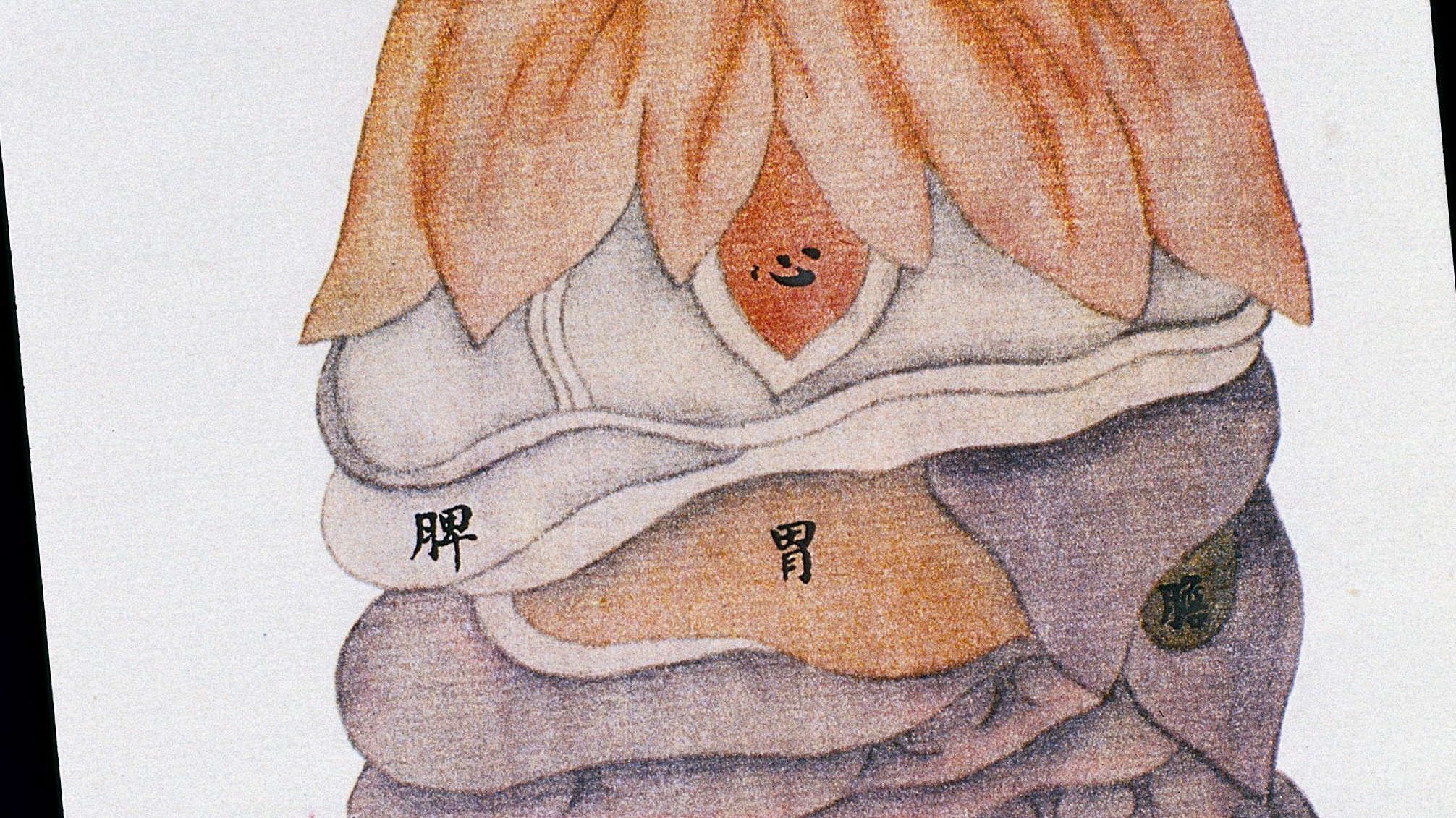 医学用語の漢字 / Anatomy 今日も明日も/医学用語の漢字