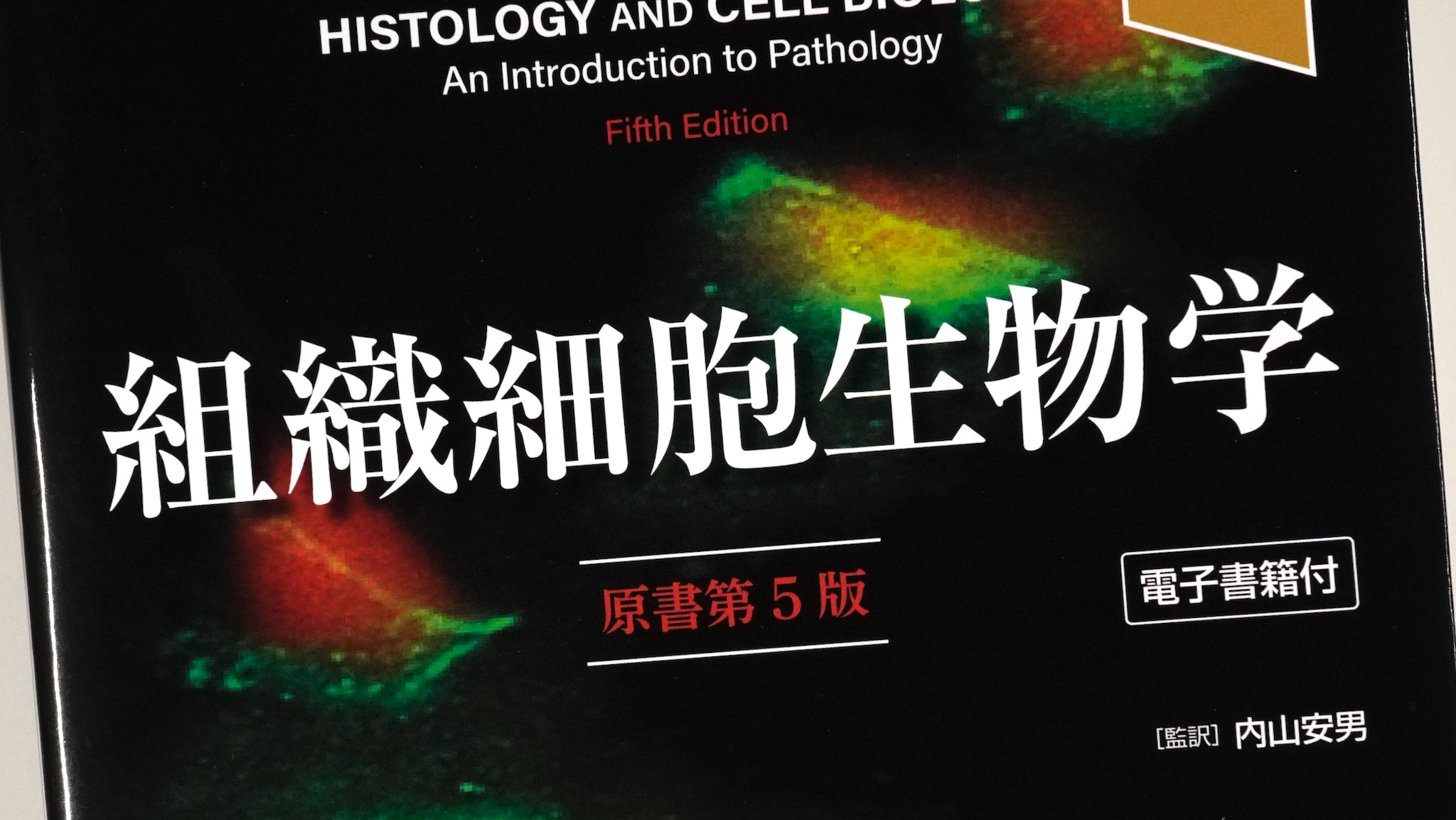 組織細胞生物学(原書第5版) / Anatomy 今日も明日も/組織細胞生物学