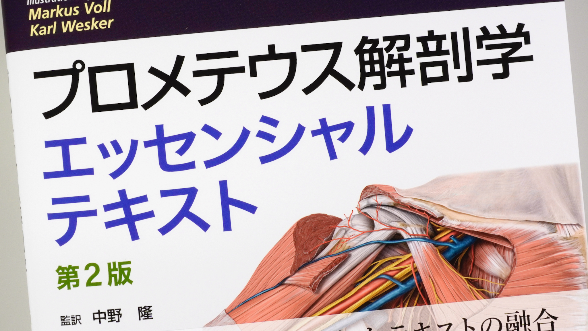 プロメテウス解剖学エッセンシャルテキスト 第2版 / Anatomy 今日も プロメテウス解剖学エッセンシャルテキスト 第2版 / Anatomy 今日も