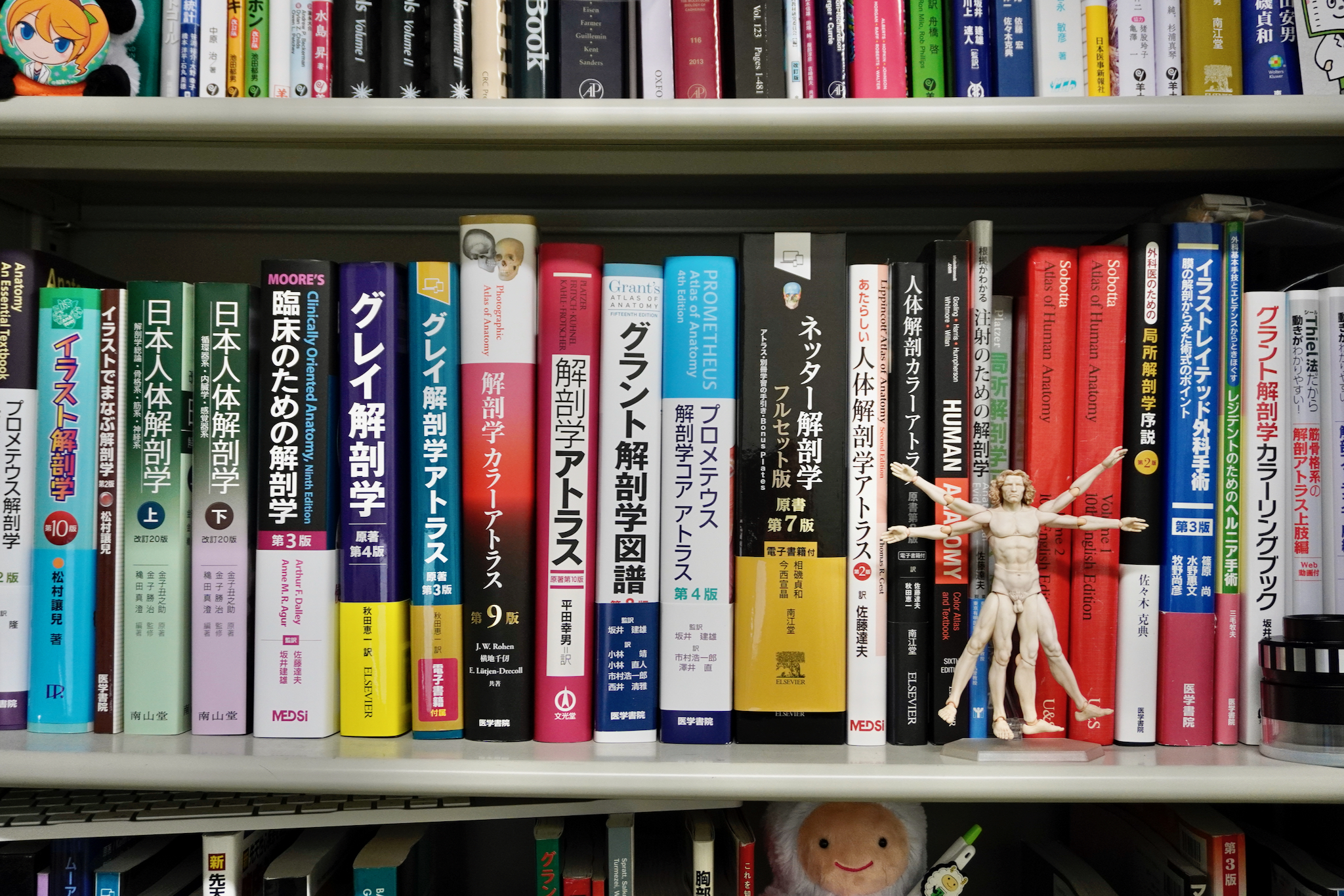 教科書・参考書のまとめ