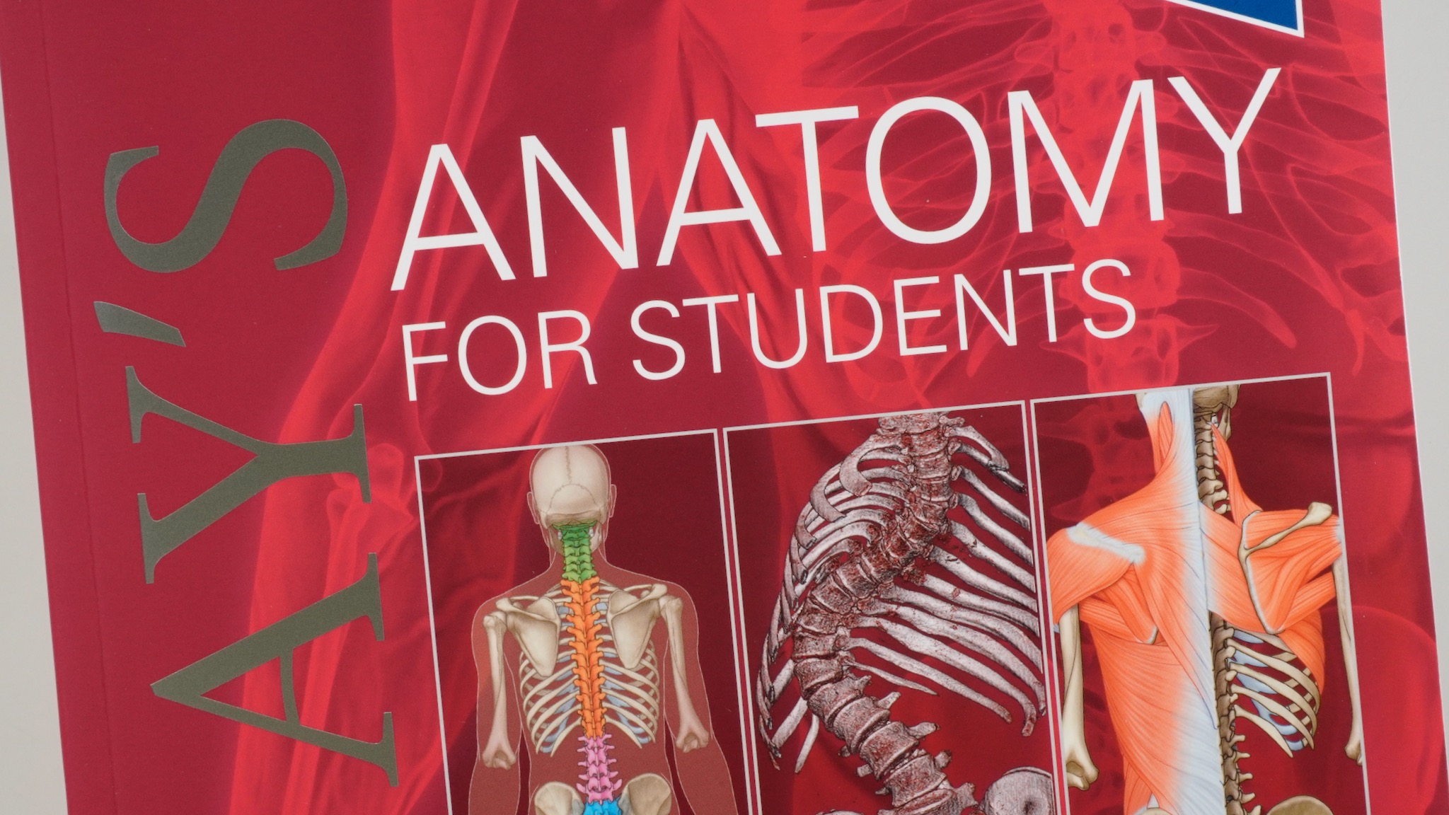 Gray's Anatomy for Students, 5E / Anatomy 今日も明日も/Gray's