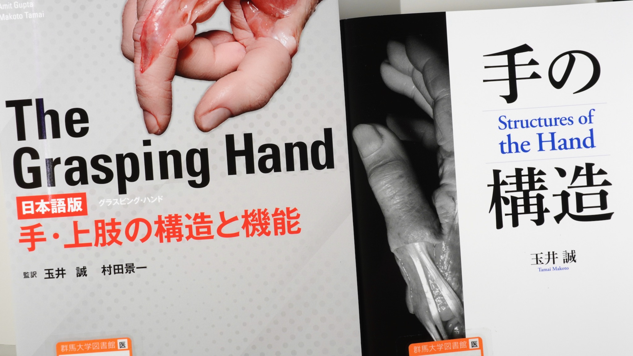 The Grasping Hand 日本語版 / 手の構造 Structures of the Hand