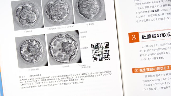 ミニマル発生学 / Anatomy 今日も明日も/ミニマル発生学