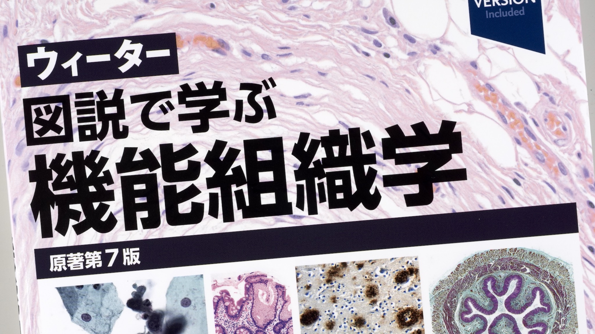 ウィーター図説で学ぶ機能組織学 原著第7版