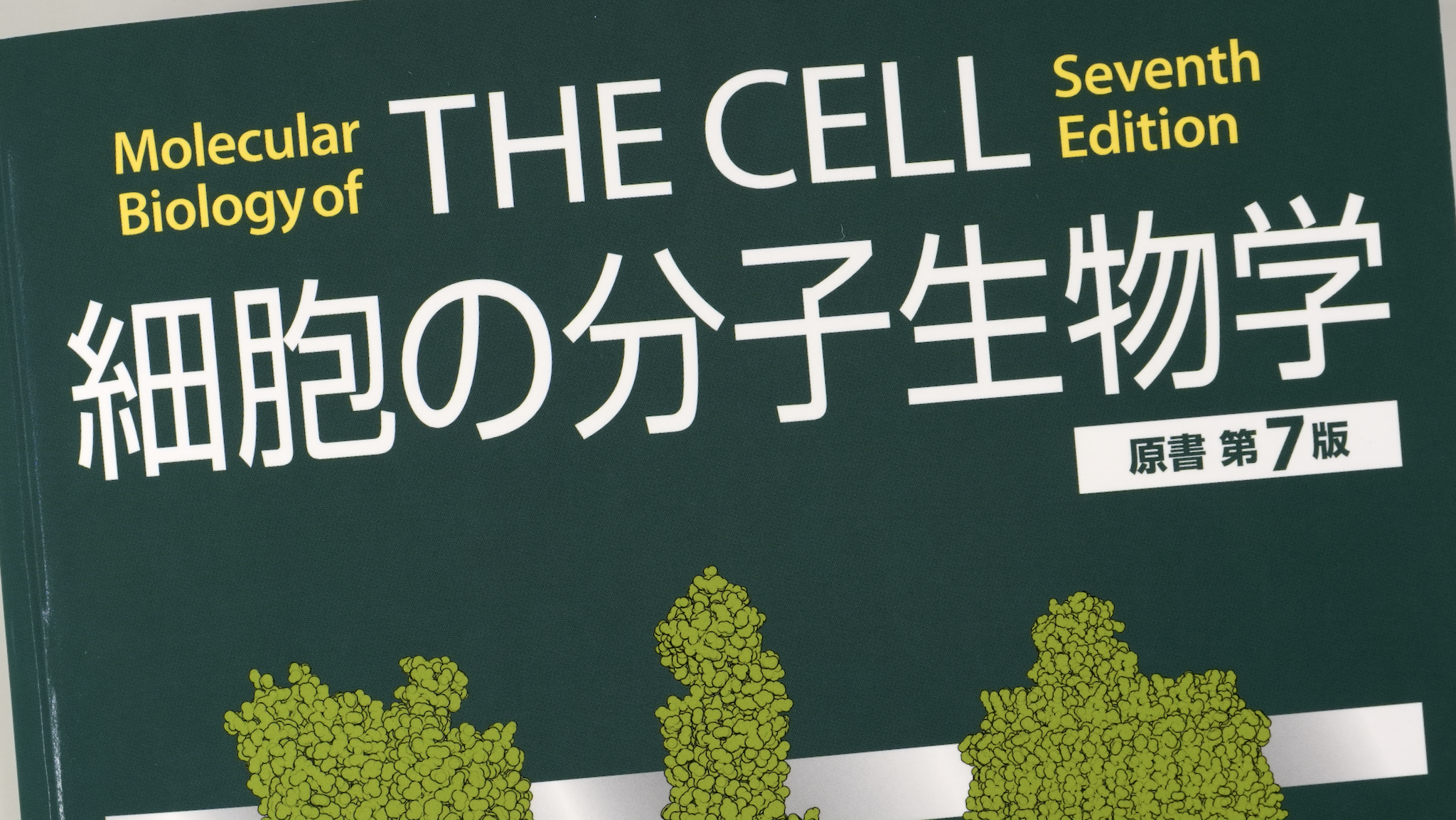 細胞の分子生物学 原著第7版